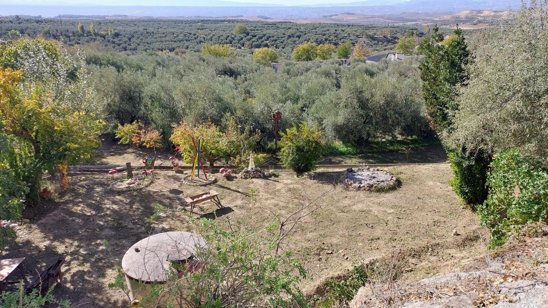 For sale of rural property in Cuevas del Campo